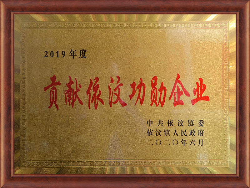 2019年度貢獻依汶功勛企業 
